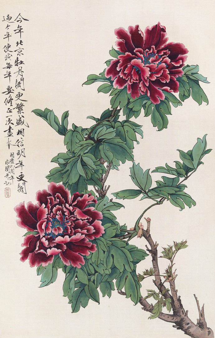 國畫牡丹